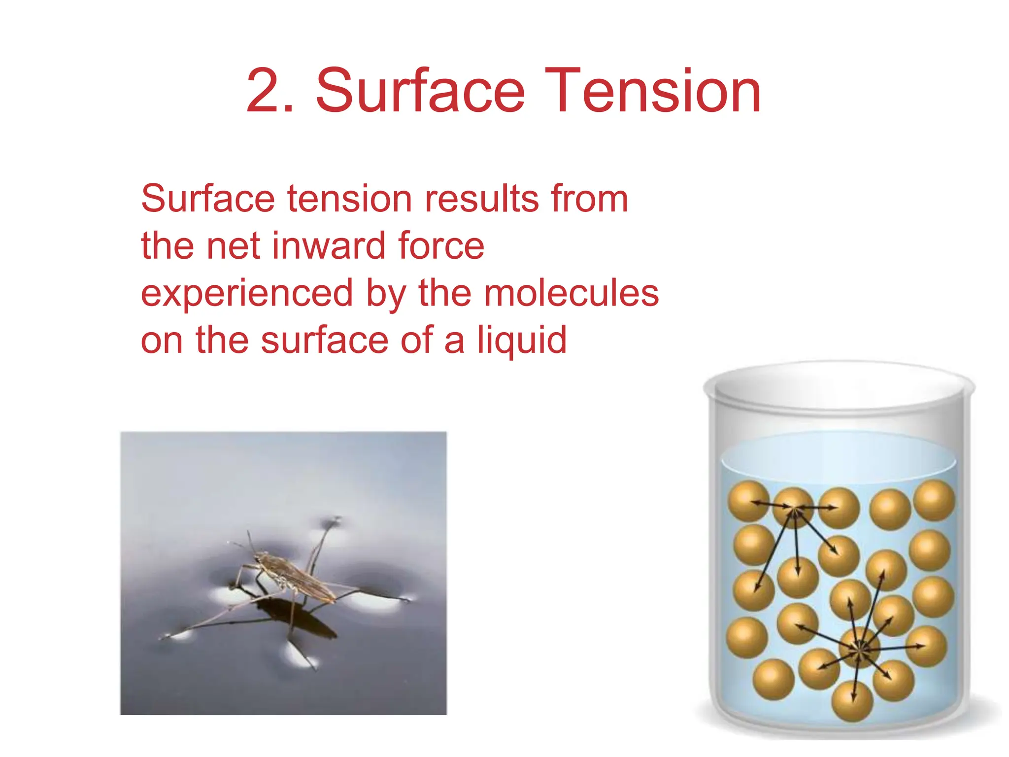 Intermolecular
Forces
2. Surface Tension
Surface tension results from
the net inward force
experienced by the molecules
on the surface of a liquid
 