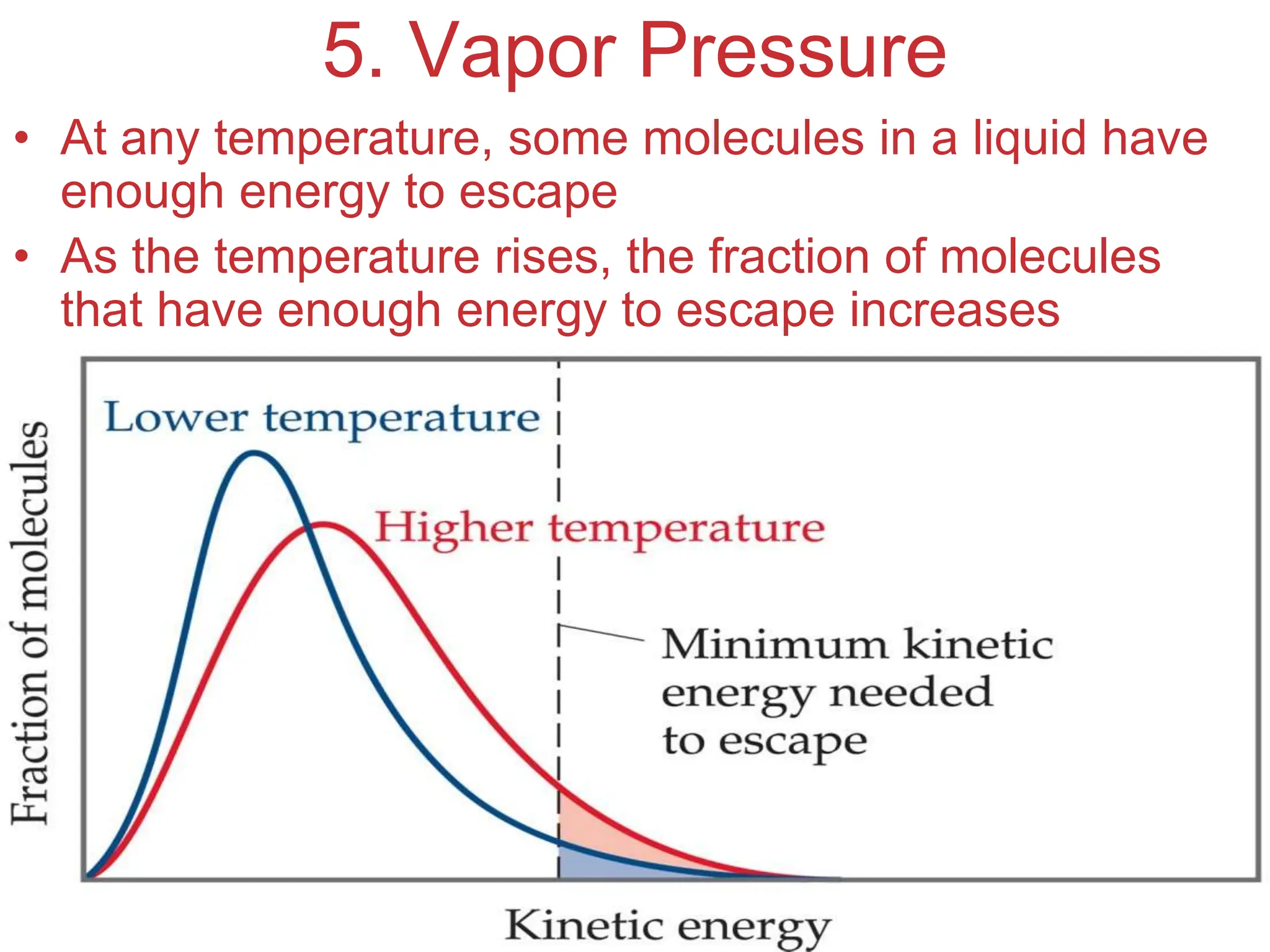 Intermolecular
Forces
5. Vapor Pressure
• At any temperature, some molecules in a liquid have
enough energy to escape
• As the temperature rises, the fraction of molecules
that have enough energy to escape increases
 
