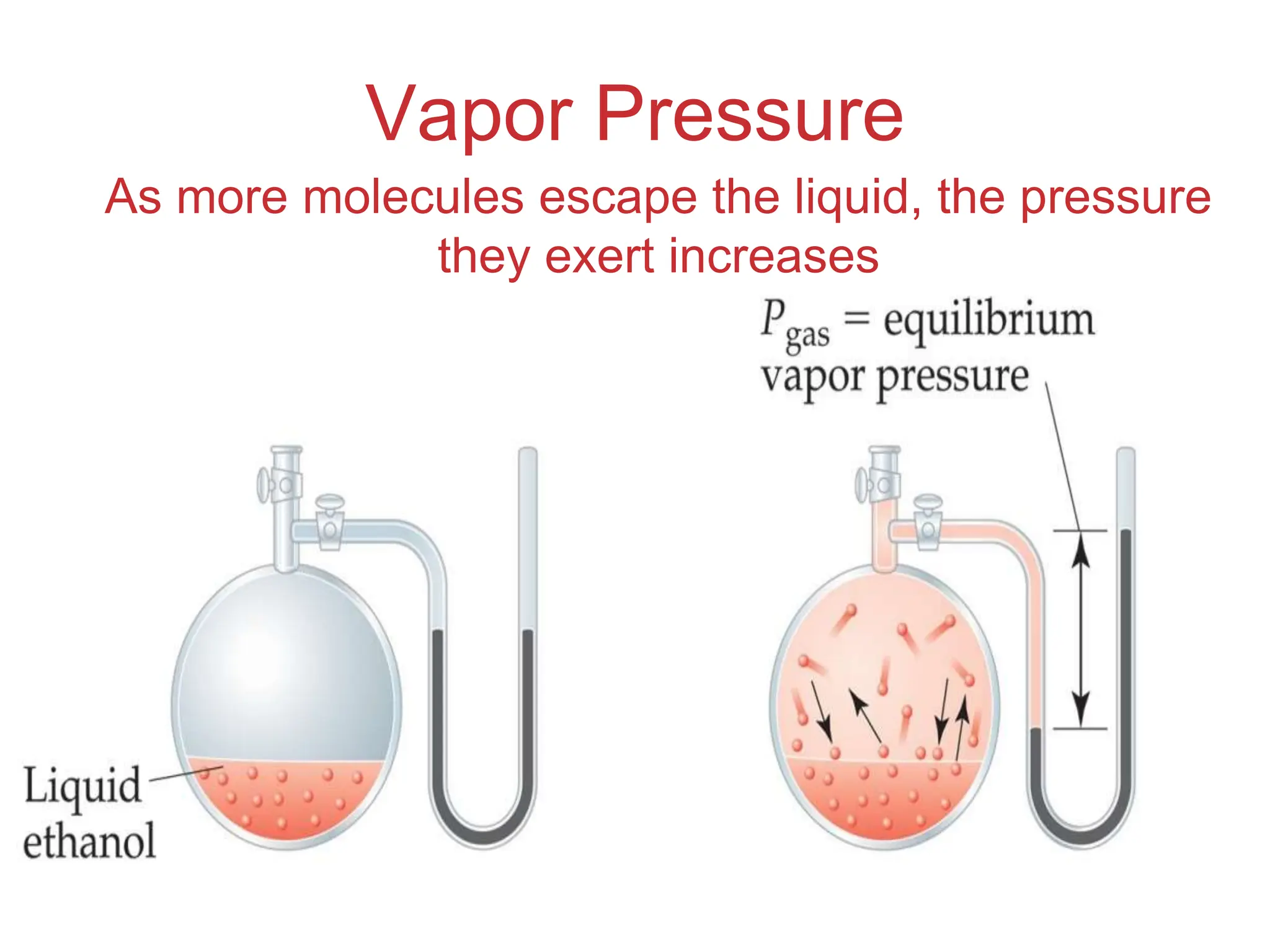 Intermolecular
Forces
Vapor Pressure
As more molecules escape the liquid, the pressure
they exert increases
 