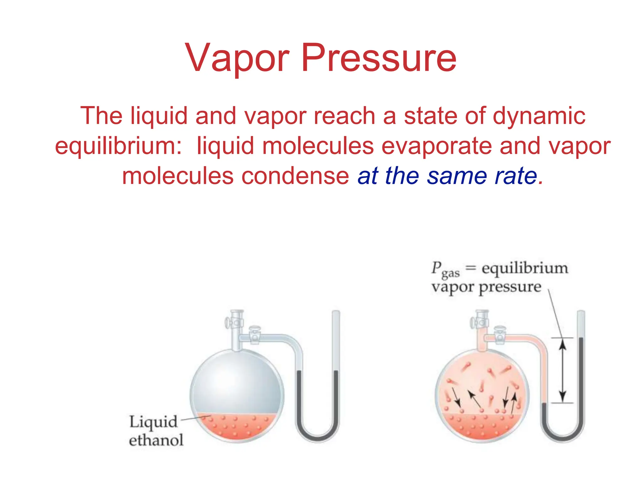 Intermolecular
Forces
Vapor Pressure
The liquid and vapor reach a state of dynamic
equilibrium: liquid molecules evaporate and vapor
molecules condense at the same rate.
 