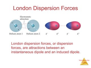 Intermolecular
Forces
London Dispersion Forces
London dispersion forces, or dispersion
forces, are attractions between an
instantaneous dipole and an induced dipole.
 