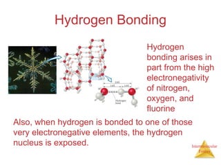 Intermolecular
Forces
Hydrogen Bonding
Hydrogen
bonding arises in
part from the high
electronegativity
of nitrogen,
oxygen, and
fluorine
Also, when hydrogen is bonded to one of those
very electronegative elements, the hydrogen
nucleus is exposed.
 