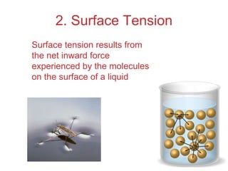 Intermolecular
Forces
2. Surface Tension
Surface tension results from
the net inward force
experienced by the molecules
on the surface of a liquid
 