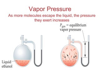 Intermolecular
Forces
Vapor Pressure
As more molecules escape the liquid, the pressure
they exert increases
 