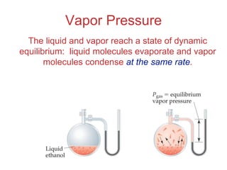 Intermolecular
Forces
Vapor Pressure
The liquid and vapor reach a state of dynamic
equilibrium: liquid molecules evaporate and vapor
molecules condense at the same rate.
 