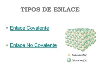 TIPOS DE ENLACE
• Enlace Covalente
• Enlace No Covalente
 