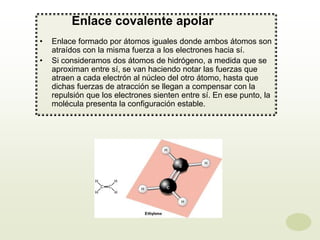 Enlace covalente apolar
• Enlace formado por átomos iguales donde ambos átomos son
atraídos con la misma fuerza a los elec...
