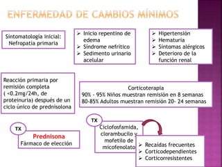 Síntomatología inicial:
Nefropatía primaria
 Inicio repentino de
edema
 Síndrome nefrítico
 Sedimento urinario
acelular
 Hipertensión
 Hematuria
 Síntomas alérgicos
 Deterioro de la
función renal
Reacción primaria por
remisión completa
( <0.2mg/24h, de
proteinuria) después de un
ciclo único de prednisolona
Corticoterapia
90% - 95% Niños muestran remisión en 8 semanas
80-85% Adultos muestran remisión 20- 24 semanas
Prednisona
Fármaco de elección
Ciclofosfamida,
clorambucilo y
mofetilo de
micofenolato  Recaídas frecuentes
 Corticodependientes
 Corticorresistentes
TX
TX
 