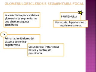 Se caracteriza por cicatrices
glomerulares segmentarias
que abarcan algunos
glomérulos
PROTEINURIA
Hematuria, hipertensión o
insuficiencia renal
Primaria: Inhibidores del
sistema de renina-
angiotensina
Secundarios: Tratar causa
básica y control de
proteinuria
TX
 