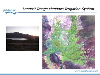 Landsat Image Mendoza Irrigation System
 