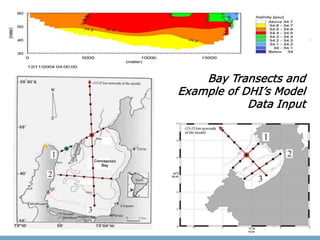 Bay Transects and
Example of DHI’s Model
            Data Input
 
