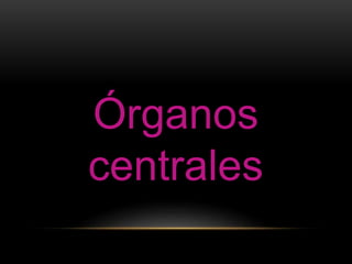 Órganos
centrales
 
