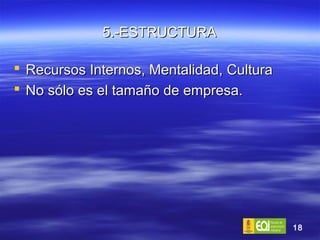5.-ESTRUCTURA Recursos Internos, Mentalidad, Cultura No sólo es el tamaño de empresa.  