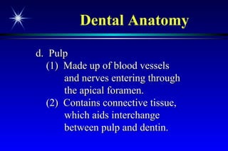 ANATOMY of TEETH 2 1. Anatomy of a tooth. a. Anatomical crown ... | PPT