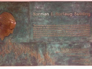 Internal communications presentation simone