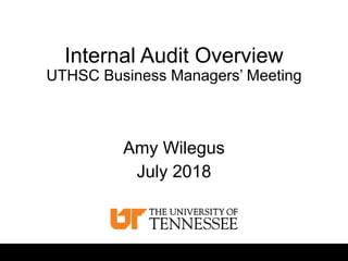Internal Audit Overview
UTHSC Business Managers’ Meeting
Amy Wilegus
July 2018
 