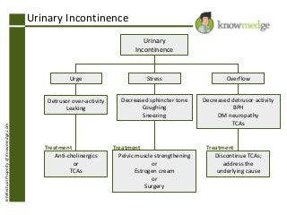 Urinary Incontinence
Urinary
Incontinence

Stress

Overflow

Detrusor over-activity
Leaking
Intellectual Property of Knowmedge.com

Urge

Decreased sphincter tone
Coughing
Sneezing

Decreased detrusor activity
BPH
DM neuropathy
TCAs

Treatment
Anti-cholinergics
or
TCAs

Treatment
Pelvic muscle strengthening
or
Estrogen cream
or
Surgery

Treatment
Discontinue TCAs;
address the
underlying cause

 