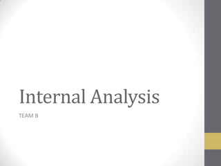 Internal Analysis TEAM B 