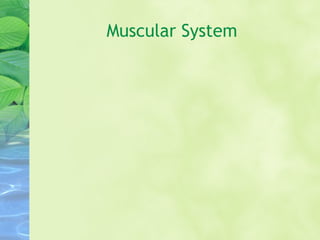 Muscular System
 