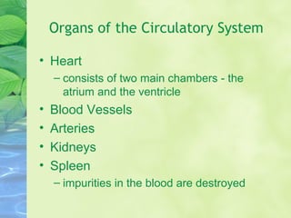 Organs of the Circulatory System
• Heart
– consists of two main chambers - the
atrium and the ventricle
• Blood Vessels
• Arteries
• Kidneys
• Spleen
– impurities in the blood are destroyed
 