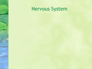 Nervous System
 