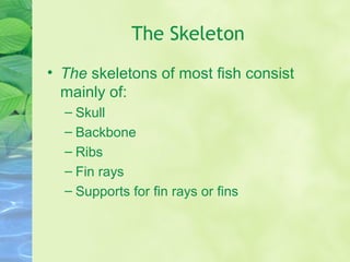 The Skeleton
• The skeletons of most fish consist
mainly of:
– Skull
– Backbone
– Ribs
– Fin rays
– Supports for fin rays or fins
 