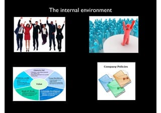 The internal environment

 