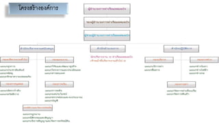 โครงสร้างองค์การ
 