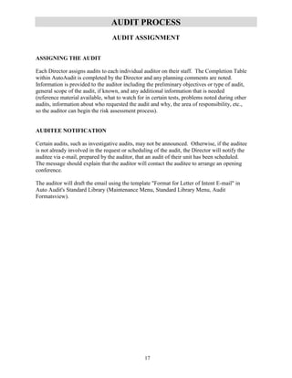 Internal audit manual template | PDF