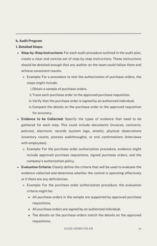 Internal Audit planning _250409_002252.pdf