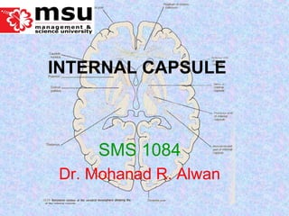 INTERNAL CAPSULE
SMS 1084
Dr. Mohanad R. Alwan
 