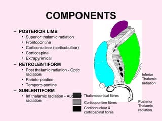COMPONENTS
– POSTERIOR LIMB
• Superior thalamic radiation
• Frontopontine
• Corticonuclear (corticobulbar)
• Corticospinal
• Extrapyrimidal
– RETROLENTIFORM
• Post thalamic radiation - Optic
radiation
• Parieto-pontine
• Temporo-pontine
– SUBLENTIFORM
• Inf thalamic radiation - Auditory
radiation
Thalamocortical fibres
Corticopontine fibres
Corticonuclear &
corticospinal fibres
Inferior
Thalamic
radiation
Posterior
Thalamic
radiation
 