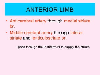 ANTERIOR LIMB
• Ant cerebral artery through medial striate
br.
• Middle cerebral artery through lateral
striate and lenticulostriate br.
- pass through the lentiform N to supply the striate
 