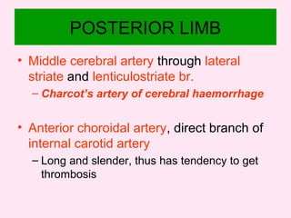 POSTERIOR LIMB
• Middle cerebral artery through lateral
striate and lenticulostriate br.
– Charcot’s artery of cerebral haemorrhage
• Anterior choroidal artery, direct branch of
internal carotid artery
– Long and slender, thus has tendency to get
thrombosis
 