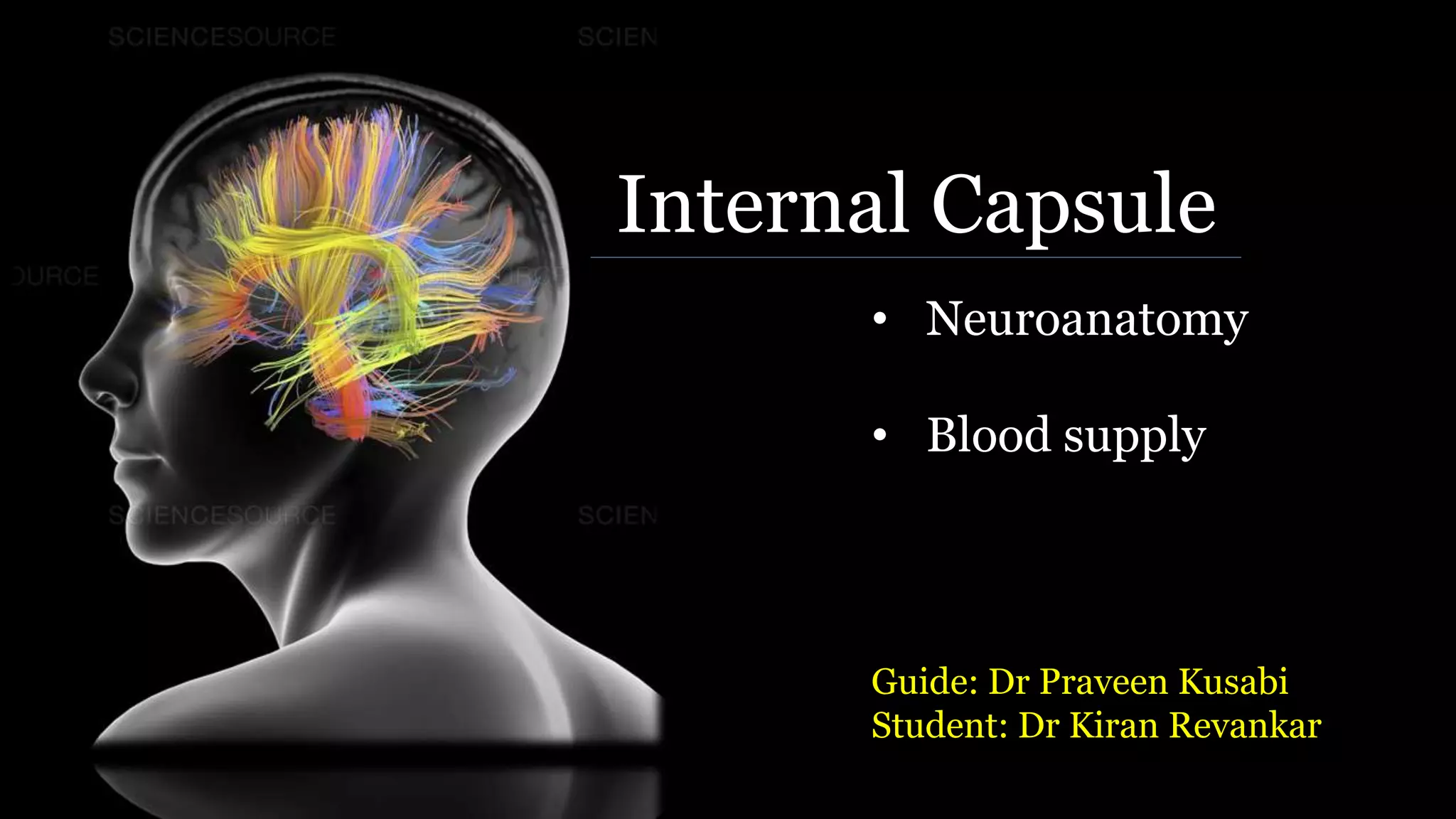 Internal capsule .pptm[autosaved] copy copy copy | PPTX