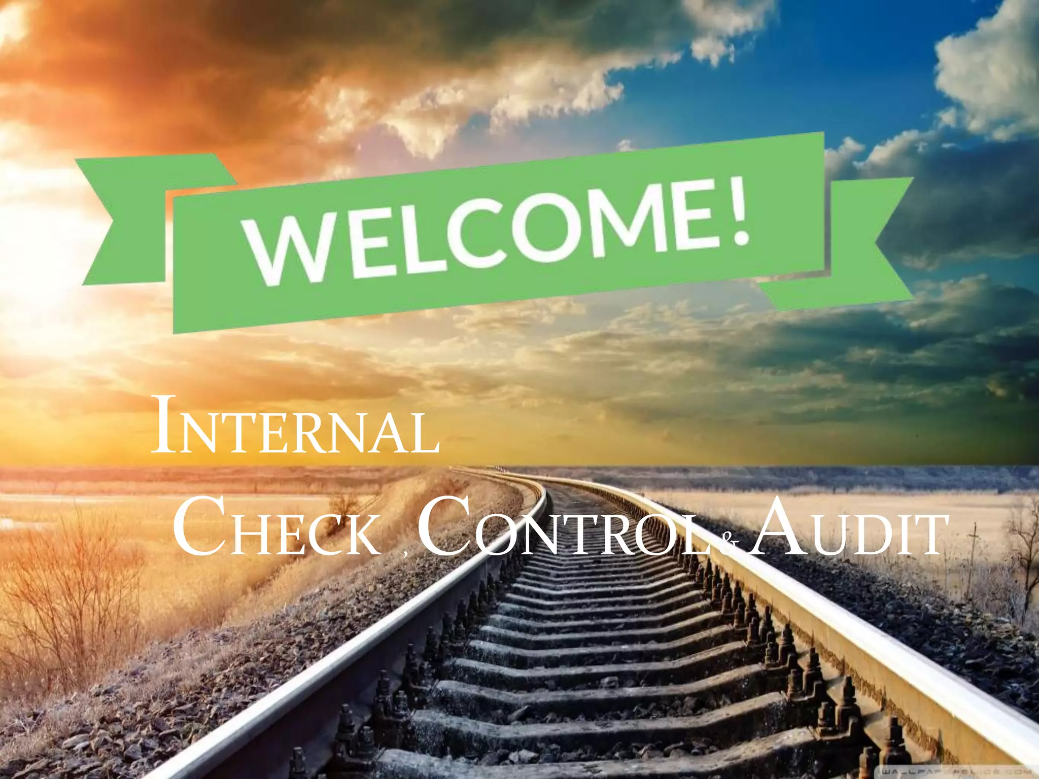INTERNAL
CHECK , CONTROL& AUDIT
 