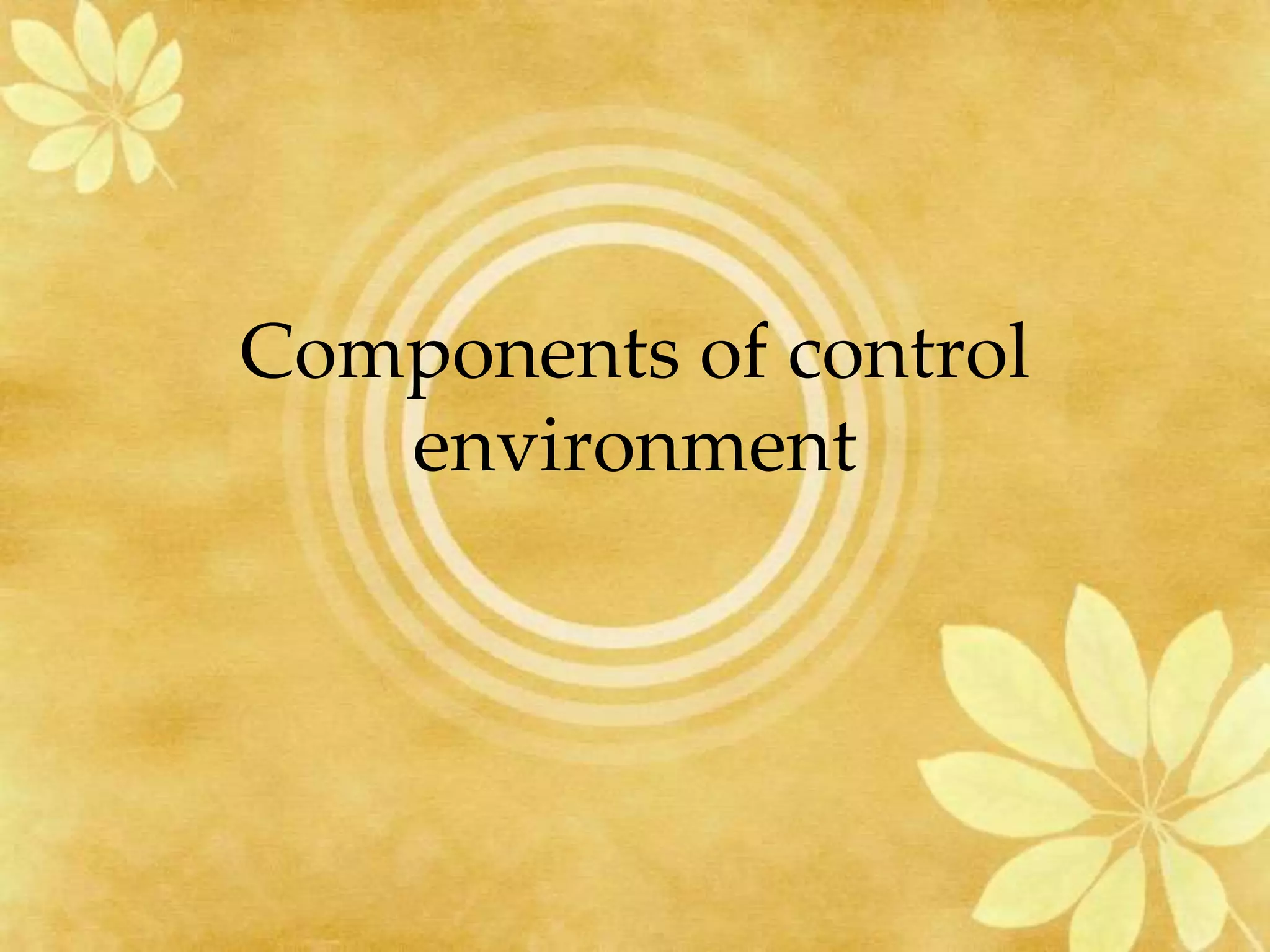 Components of control
environment
 