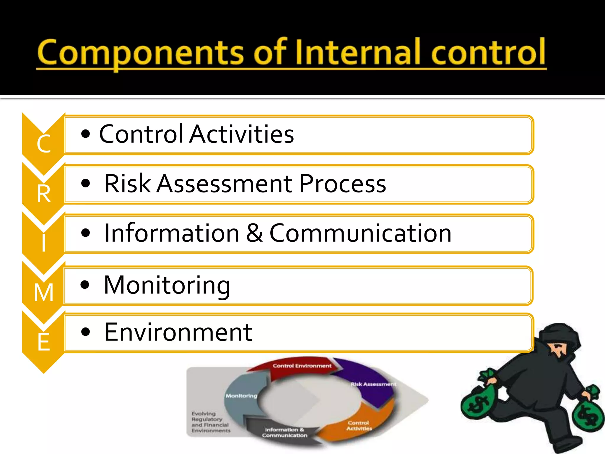 C   • Control Activities

R   • Risk Assessment Process

I   • Information & Communication

M • Monitoring
E • Environment
 