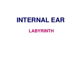 LABYRINTH
INTERNAL EAR
 