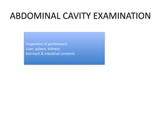 Internal_Examination_Autopsy_Final_III_MBBS-1.pptx