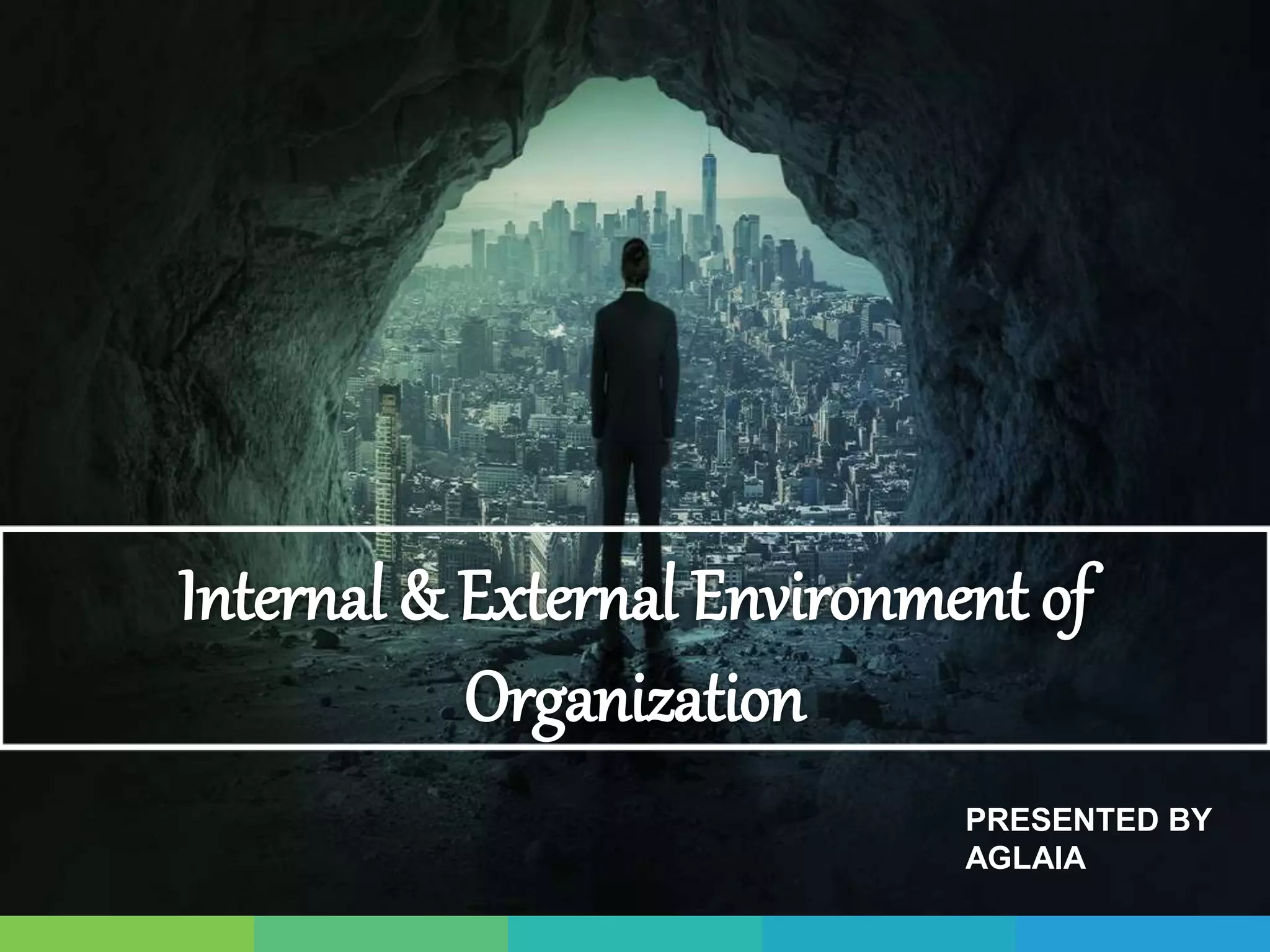 Internal&external environment of organization | PPTX