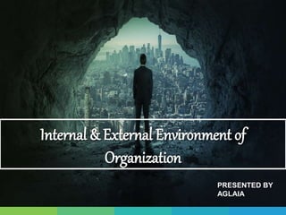 PRESENTED BY
AGLAIA
Internal & External Environment of
Organization
 