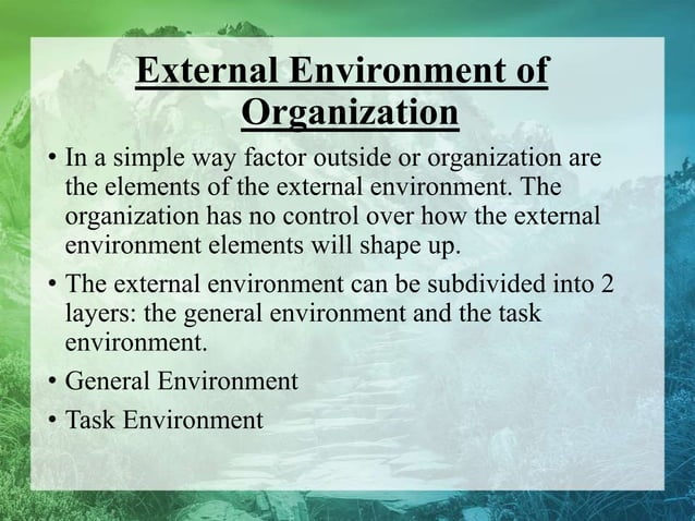 Internal&external environment of organization | PPTX