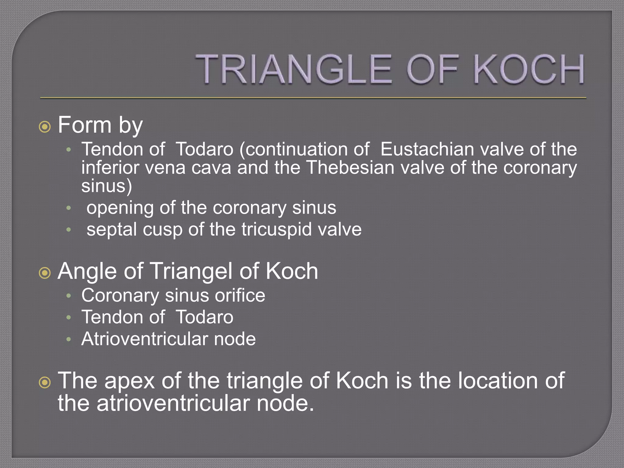  Form by
• Tendon of Todaro (continuation of Eustachian valve of the
inferior vena cava and the Thebesian valve of the coronary
sinus)
• opening of the coronary sinus
• septal cusp of the tricuspid valve
 Angle of Triangel of Koch
• Coronary sinus orifice
• Tendon of Todaro
• Atrioventricular node
 The apex of the triangle of Koch is the location of
the atrioventricular node.
 