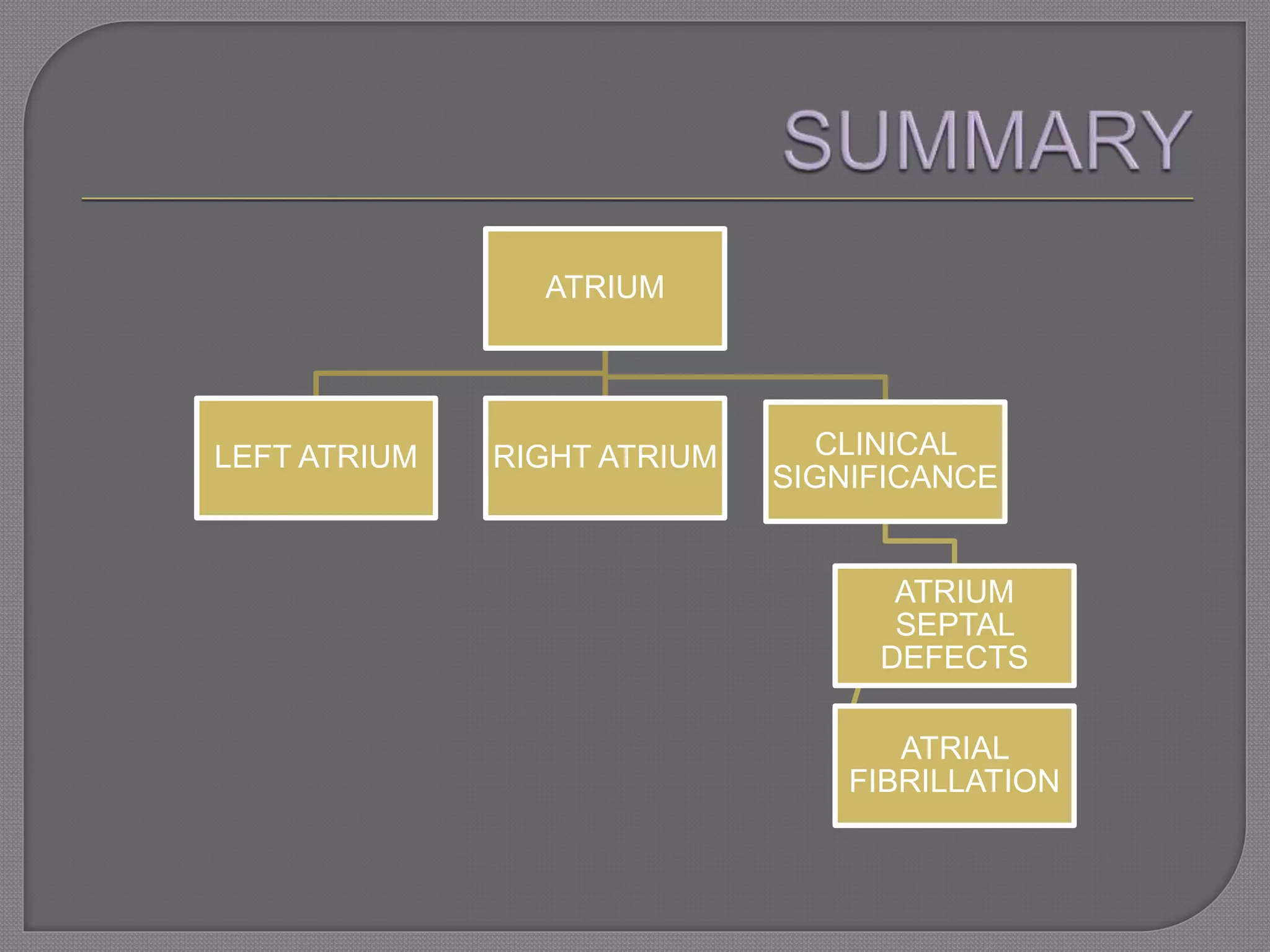 ATRIUM
LEFT ATRIUM RIGHT ATRIUM CLINICAL
SIGNIFICANCE
ATRIUM
SEPTAL
DEFECTS
ATRIAL
FIBRILLATION
 