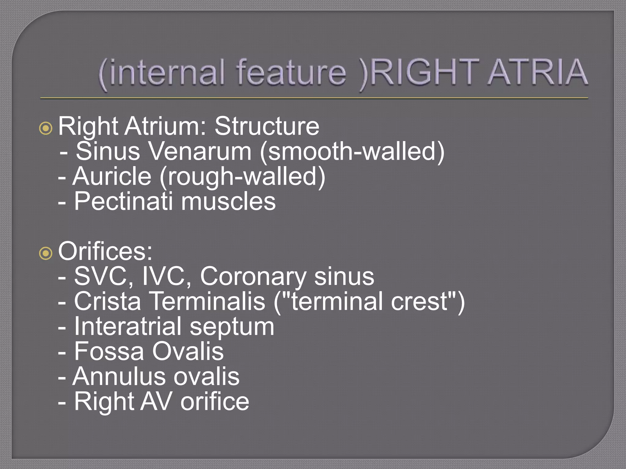  Right Atrium: Structure
- Sinus Venarum (smooth-walled)
- Auricle (rough-walled)
- Pectinati muscles
 Orifices:
- SVC, IVC, Coronary sinus
- Crista Terminalis ("terminal crest")
- Interatrial septum
- Fossa Ovalis
- Annulus ovalis
- Right AV orifice
 