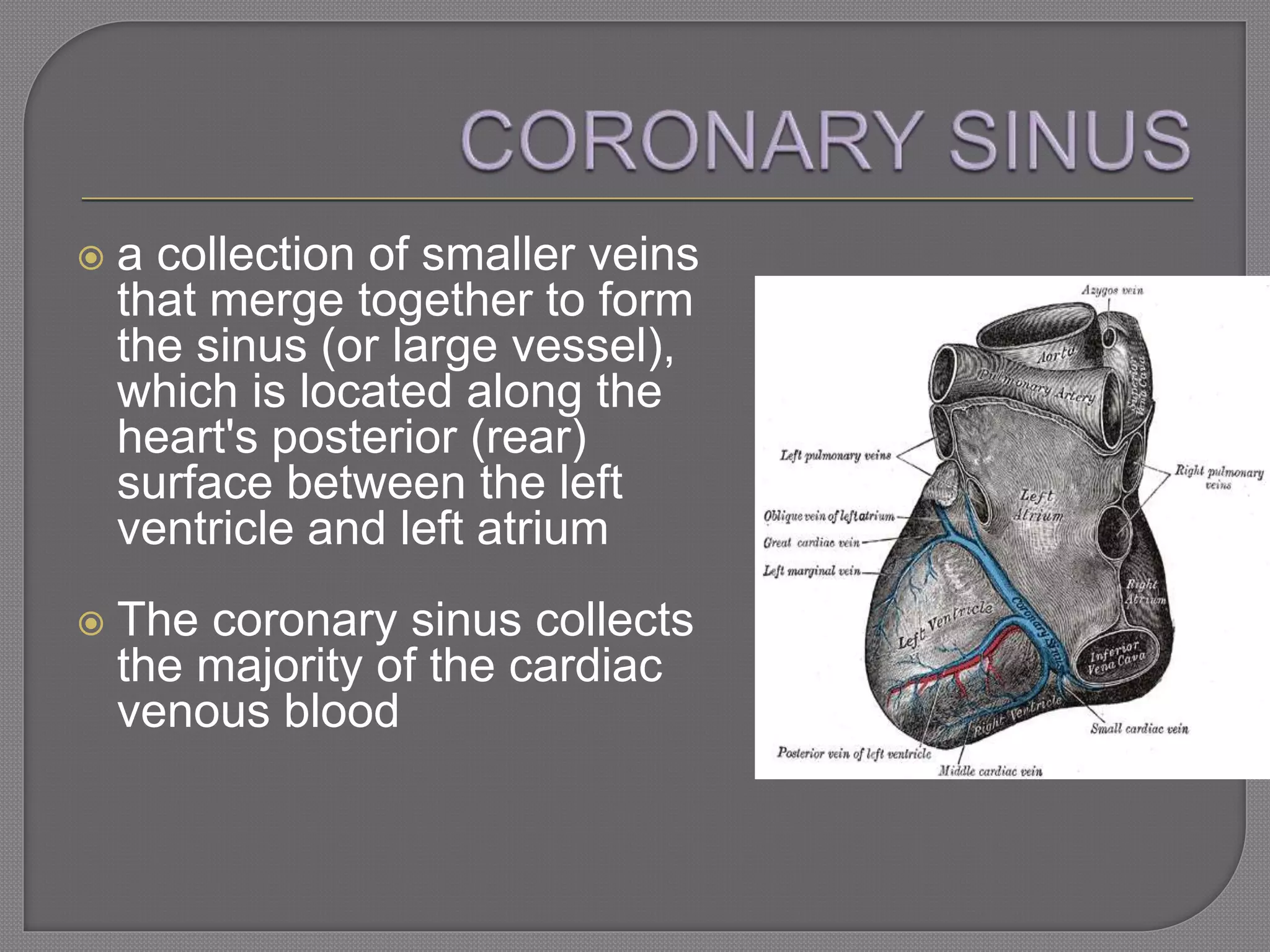  a collection of smaller veins
that merge together to form
the sinus (or large vessel),
which is located along the
heart's posterior (rear)
surface between the left
ventricle and left atrium
 The coronary sinus collects
the majority of the cardiac
venous blood
 