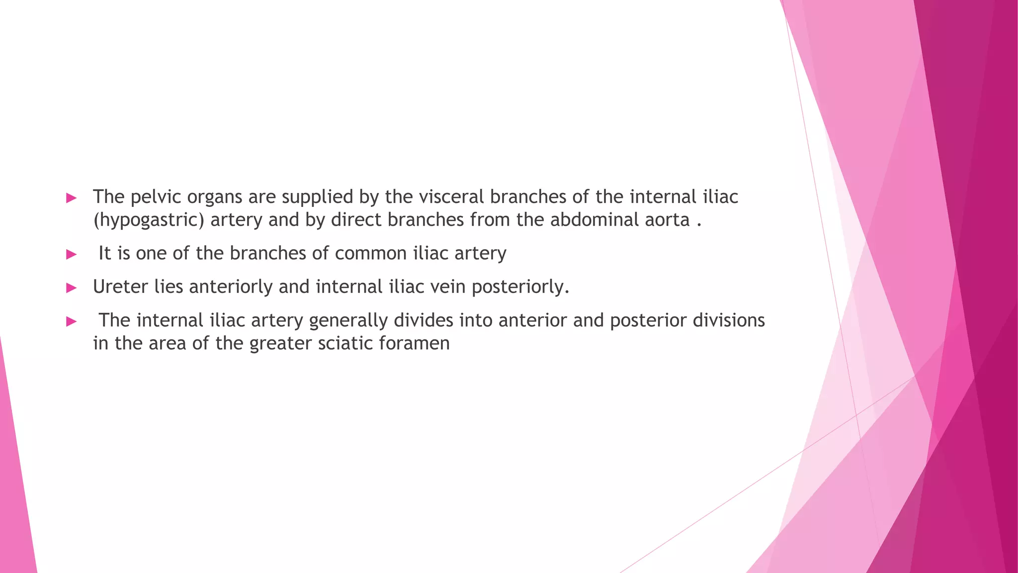 ► The pelvic organs are supplied by the visceral branches of the internal iliac
(hypogastric) artery and by direct branches from the abdominal aorta .
► It is one of the branches of common iliac artery
► Ureter lies anteriorly and internal iliac vein posteriorly.
► The internal iliac artery generally divides into anterior and posterior divisions
in the area of the greater sciatic foramen
 