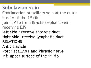 Comprehensive Anatomy and Clinical Insights of the Internal Jugular ...