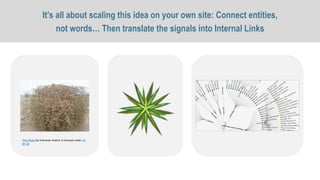 It’s all about scaling this idea on your own site: Connect entities,
not words… Then translate the signals into Internal Links
This Photo by Unknown Author is licensed under CC
BY-SA
 